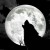 Avatar de jordimorera74