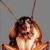 Avatar de The Roach