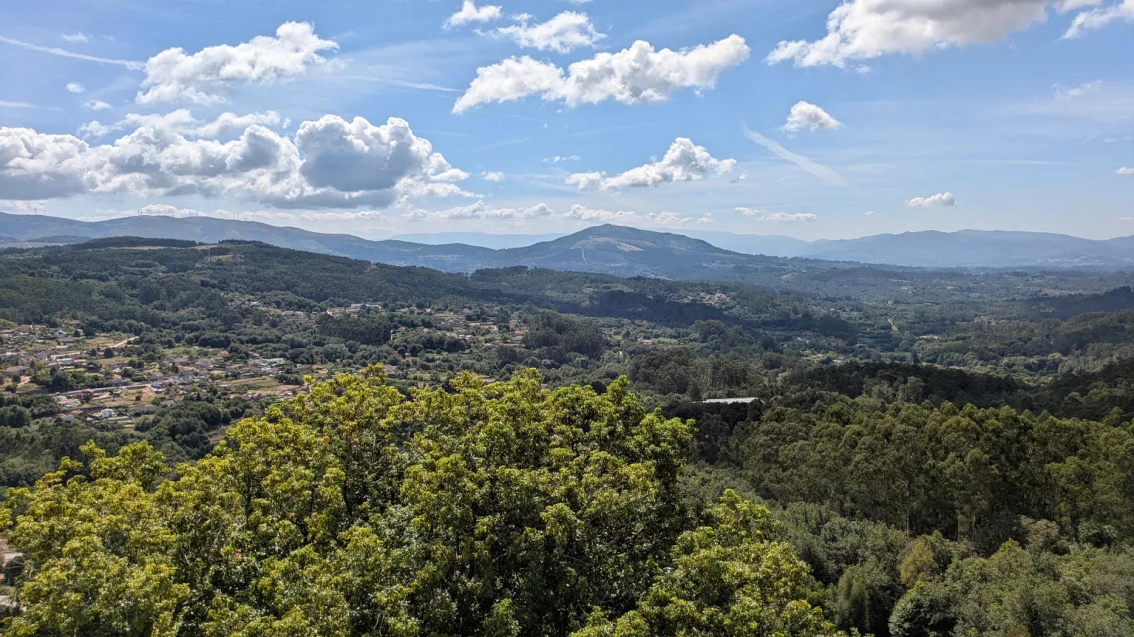 Bosques vistos desde el castillo de Villasobroso